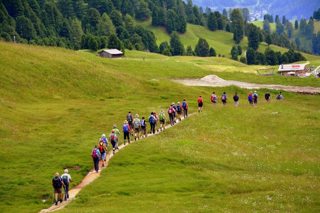 custom day trips and guided excursions organized by destination experts